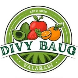 Divy Baug Farm